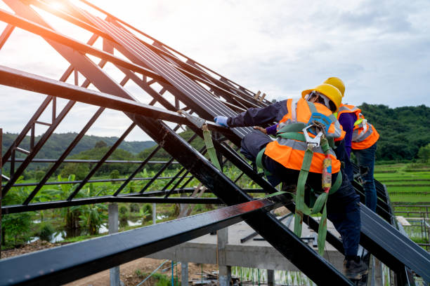 Best Metal Roofing Contractor  in Lago Vista, TX