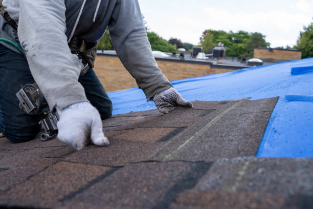 Best Roof Waterproofing Services  in Lago Vista, TX